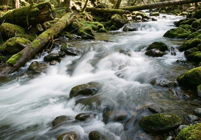 【竹中半兵衛】戦国最強のミニマリスト？「名刀不要・本を捨てろ」に学ぶ現代ビジネスの生存戦略