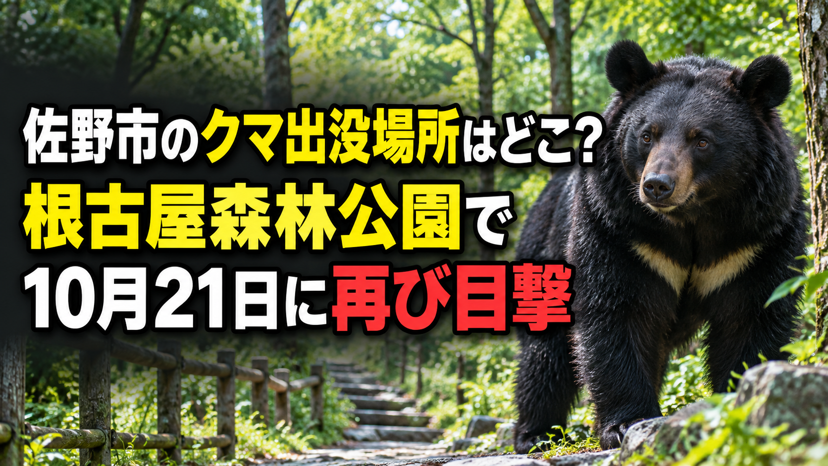 佐野市のクマ出没場所はどこ？根古屋森林公園で10月21日に再び目撃