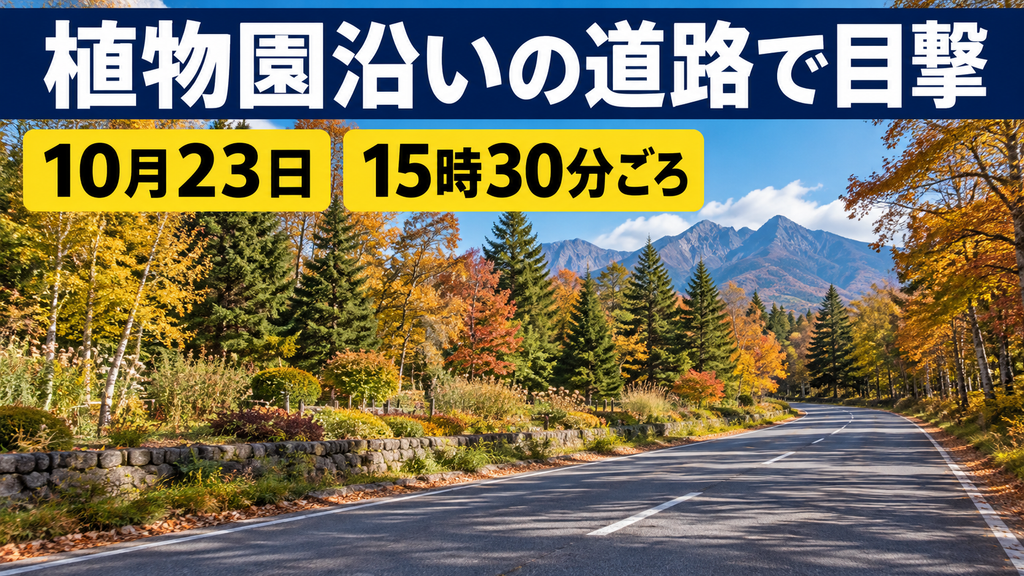 北杜市のクマ目撃場所はどこ？八ヶ岳薬用植物園と白州町大坊を地図で確認